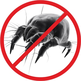 Aspiradora escoba barredora 2 en 1
