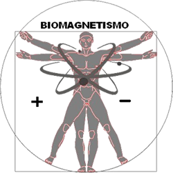 Magnetoterapia y Biomagnetismo