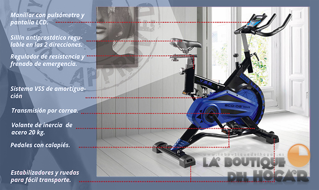 Bicicleta de Spinning SHARK Modelo ECO-826