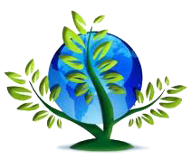 Placa de Inducción Portátil ecológica