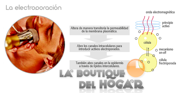 Aparato de Ultrasonidos Corporal y Facial F-801C