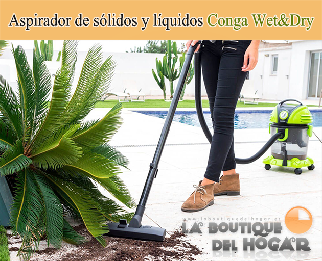 Aspirador de sólidos y líquidos con Doble Filtrado Cecotec Wet&Dry