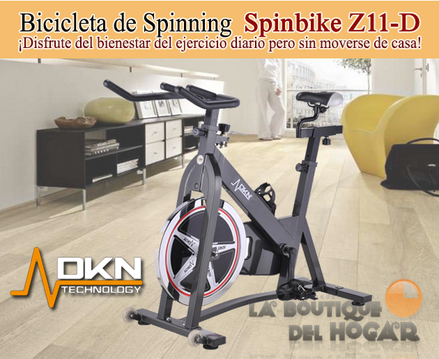 Bicicleta de Spinning DKN Spinbike Z-11D