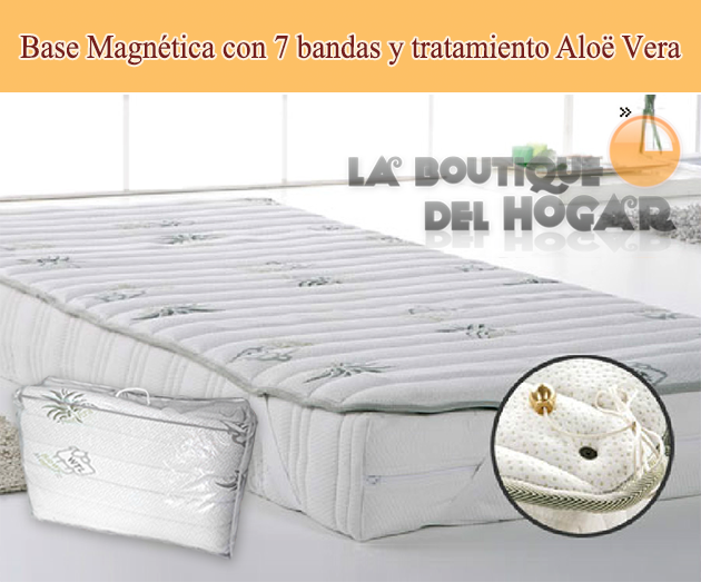 Base Magnética con 7 bandas, tratamiento Aloë Vera e hilo de plata