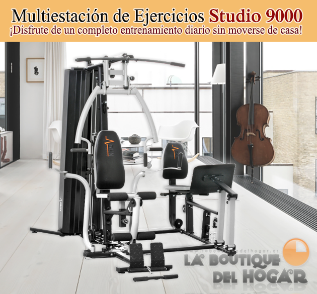 Multiestación de Ejercicios Profesional DKN Studio 9000