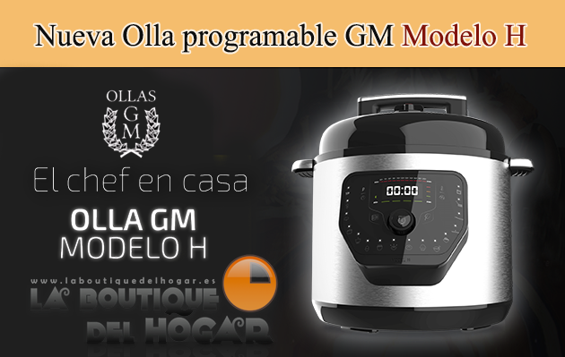 olla Programable GM modelo H – 6 litros