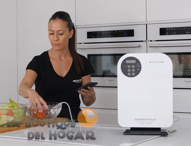 Generador de Ozono portátil