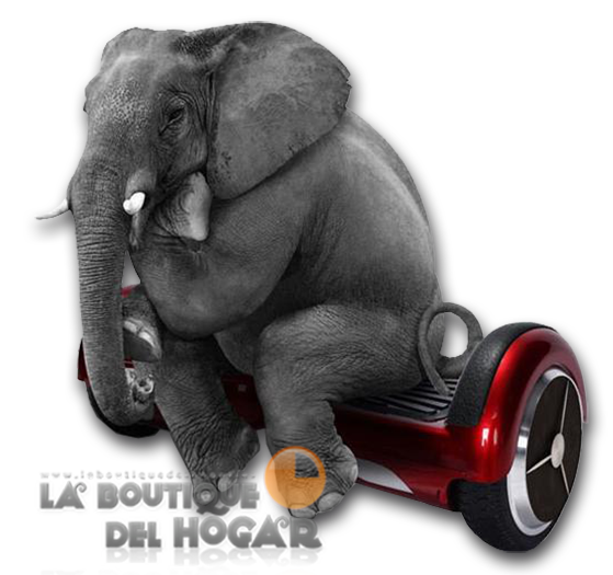 Patinete Monociclo Scooter eléctrico
