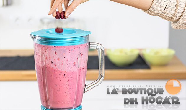 Batidora de Vaso Power Titanium 1000W