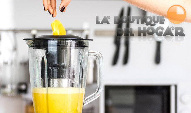 Batidora de Vaso Power Titanium 1250W
