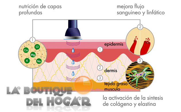 Aparato de Ultrasonidos Facial DIY-101