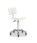 Taburete ergonómico con respaldo con 5 ruedas regulable en altura Modelo Gordon W