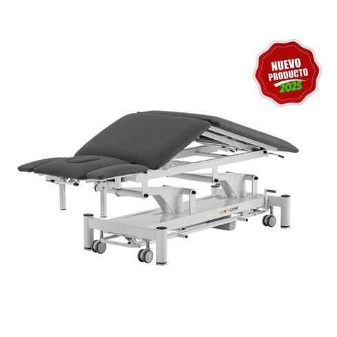Camilla de Masaje eléctrica Premium de 5 secciones con 2 motores Modelo Nott Coinfycare - Color Gris
