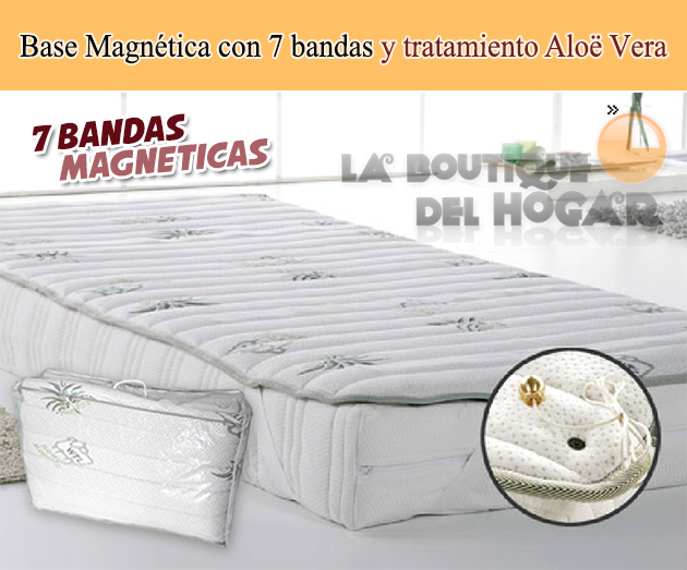 Base Magnética con 7 bandas, tratamiento Aloë Vera e hilo de plata