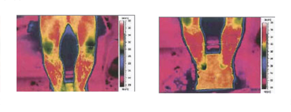 Recambio Array Catalizador Electrodo para Desintoxicador celular Detox Foot Spa