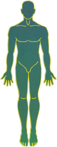 Magnetoterapia y Biomagnetismo