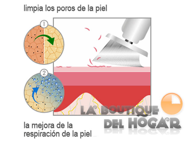 Aparato de Exfoliación / Brossage facial con Cepillos rotativos DIY-106