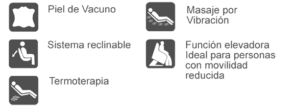Mandos de Sillón de masaje de piel Levantapersonas LBH