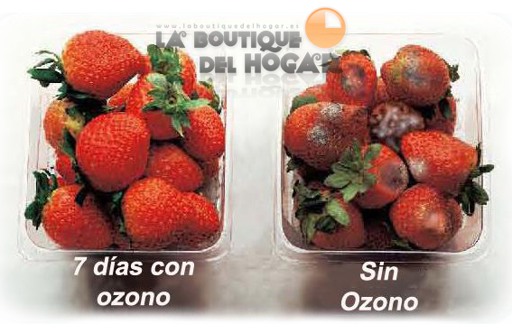 Fresas con tratamiento de Ozono en nevera