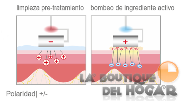 Aparato de Galvanización / Electroforesis DIY-105